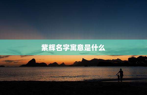 紫辉名字寓意是什么