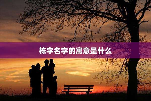 栋字名字的寓意是什么