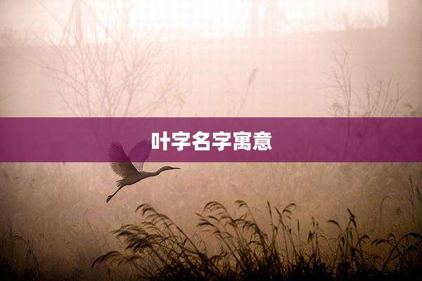 叶字名字寓意