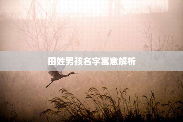 田姓男孩名字寓意解析
