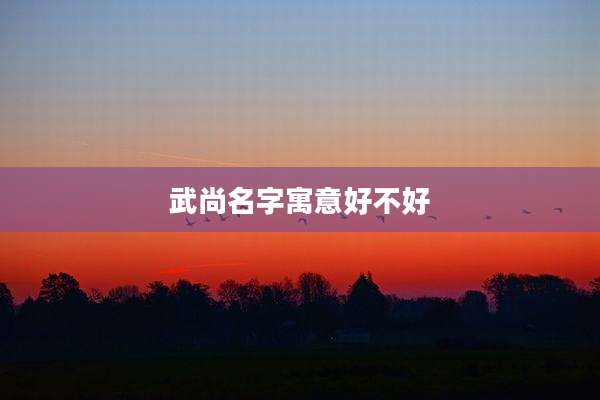 武尚名字寓意好不好