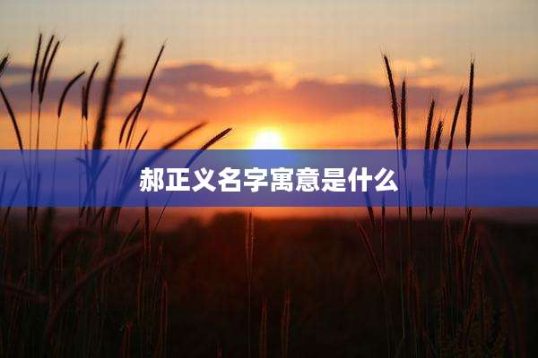 郝正义名字寓意是什么
