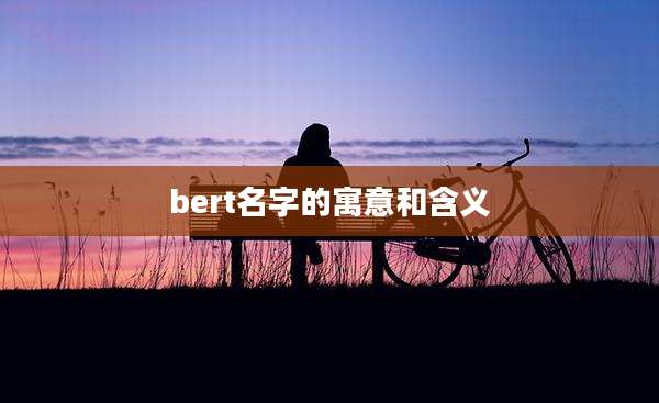 bert名字的寓意和含义