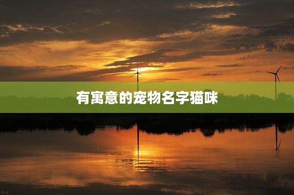 有寓意的宠物名字猫咪