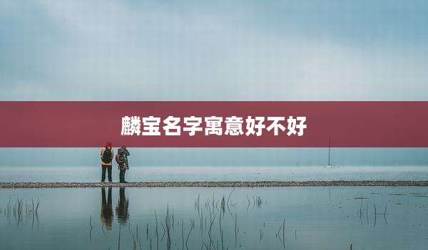 麟宝名字寓意好不好