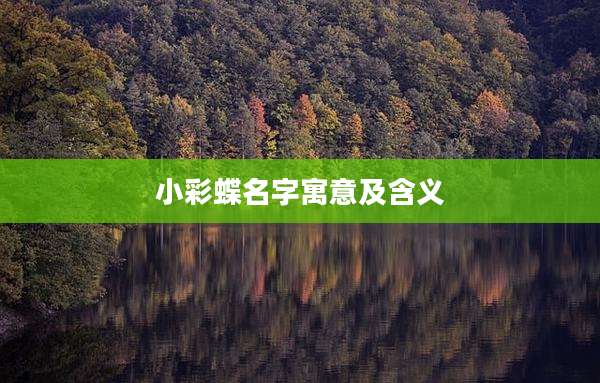 小彩蝶名字寓意及含义