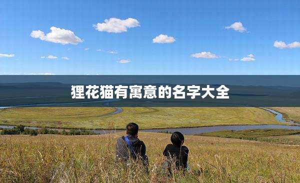 狸花猫有寓意的名字大全