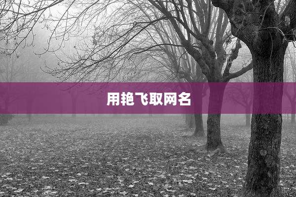用艳飞取网名