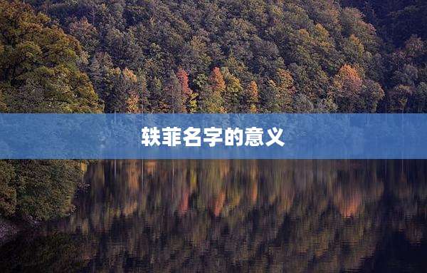 轶菲名字的意义