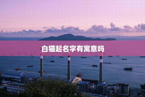 白猫起名字有寓意吗