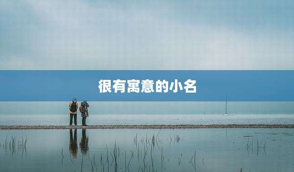 很有寓意的小名