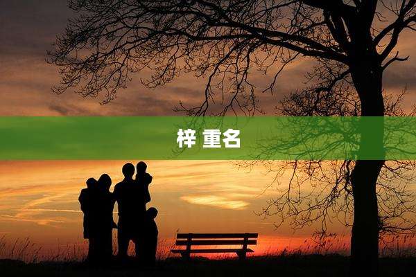 梓 重名