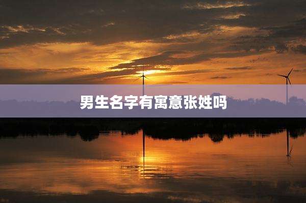 男生名字有寓意张姓吗