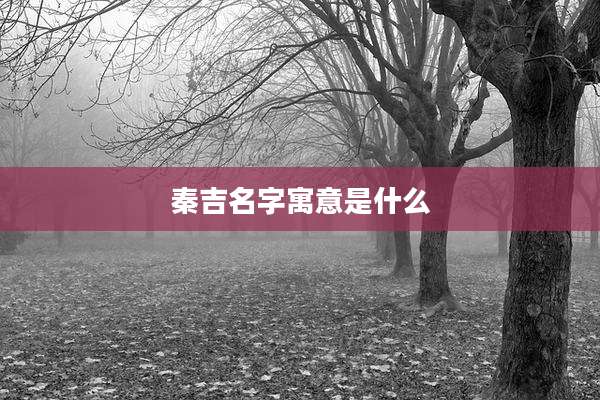秦吉名字寓意是什么