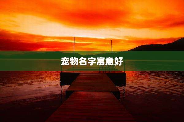 宠物名字寓意好