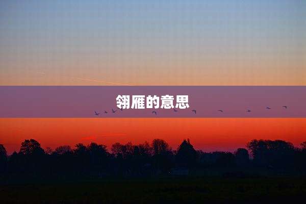 翎雁的意思