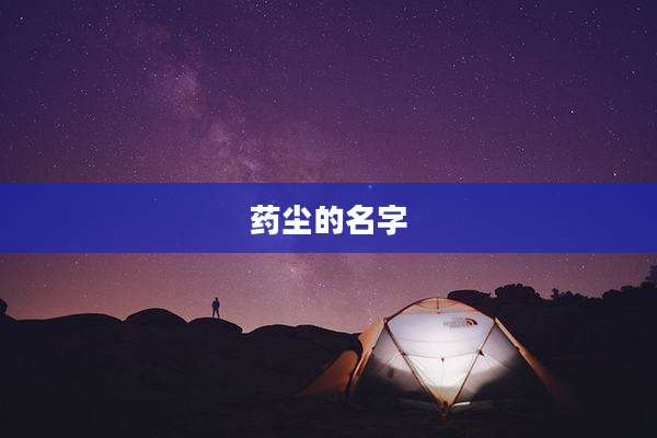 药尘的名字