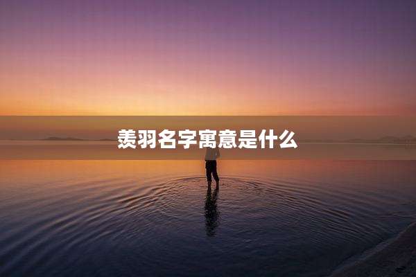 羡羽名字寓意是什么