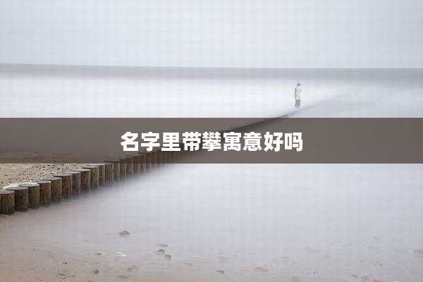 名字里带攀寓意好吗