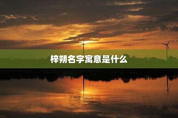 梓朔名字寓意是什么