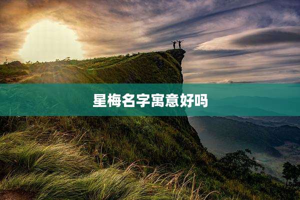 星梅名字寓意好吗