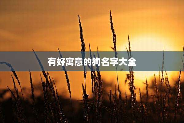 有好寓意的狗名字大全