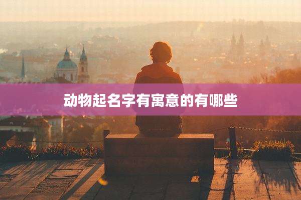 动物起名字有寓意的有哪些