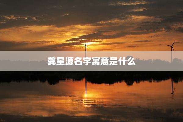 龚星源名字寓意是什么