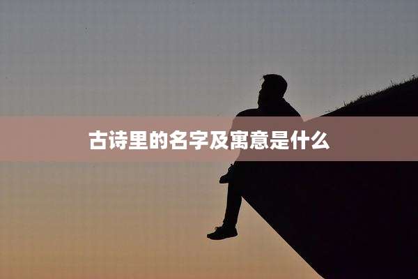 古诗里的名字及寓意是什么