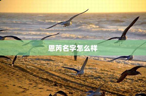 恩芮名字怎么样