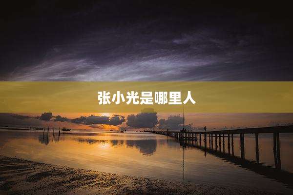 张小光是哪里人