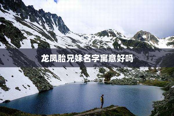 龙凤胎兄妹名字寓意好吗