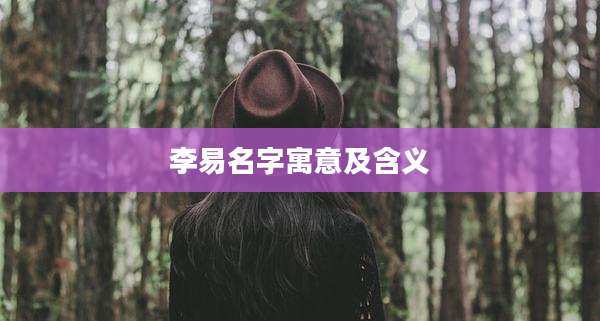 李易名字寓意及含义
