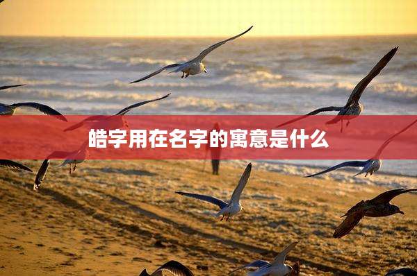 皓字用在名字的寓意是什么