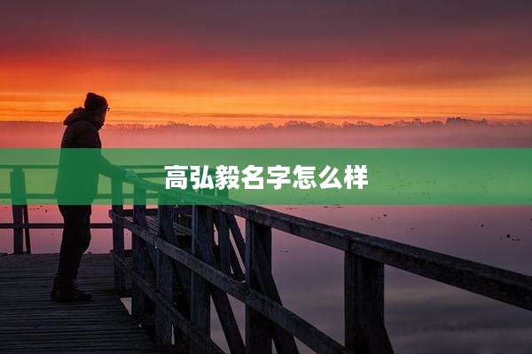 高弘毅名字怎么样