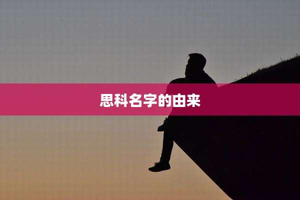 思科名字的由来