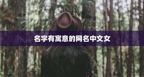 名字有寓意的网名中文女