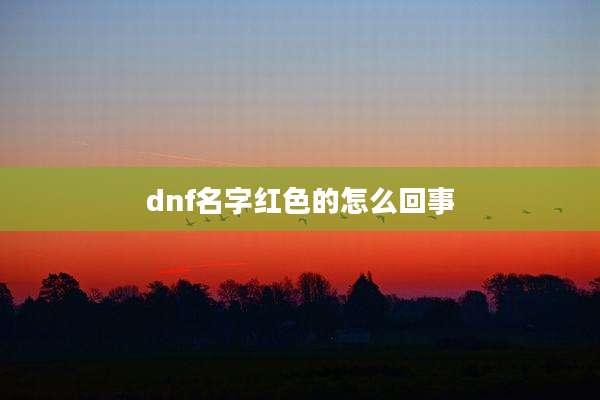 dnf名字红色的怎么回事