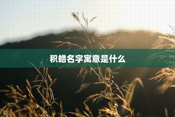 积皓名字寓意是什么