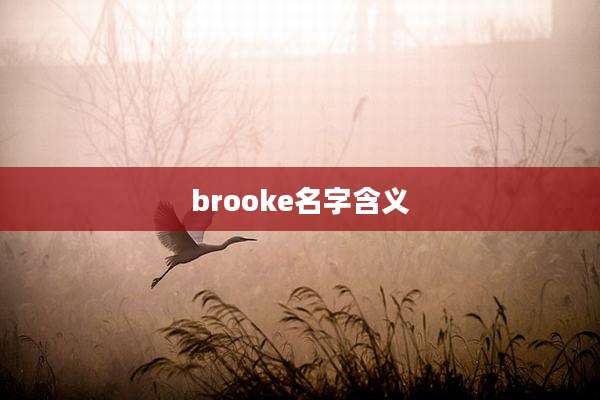 brooke名字含义