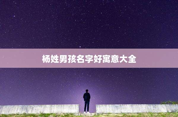 杨姓男孩名字好寓意大全
