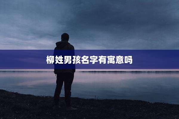 柳姓男孩名字有寓意吗