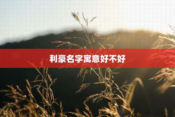 利豪名字寓意好不好