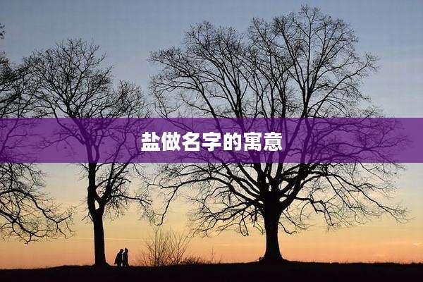 盐做名字的寓意