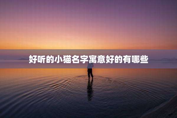 好听的小猫名字寓意好的有哪些