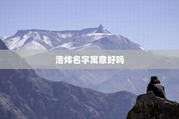 浩炜名字寓意好吗
