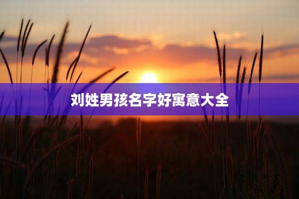 刘姓男孩名字好寓意大全