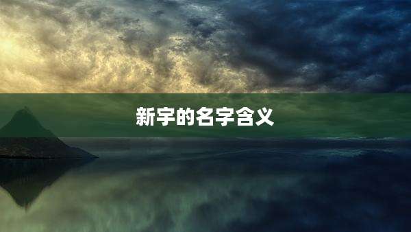 新宇的名字含义