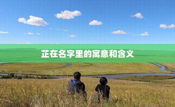 芷在名字里的寓意和含义