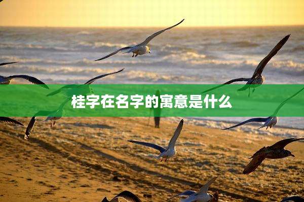 桂字在名字的寓意是什么